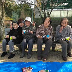 お花見　糸我の駐車場には大きな桜の木があります